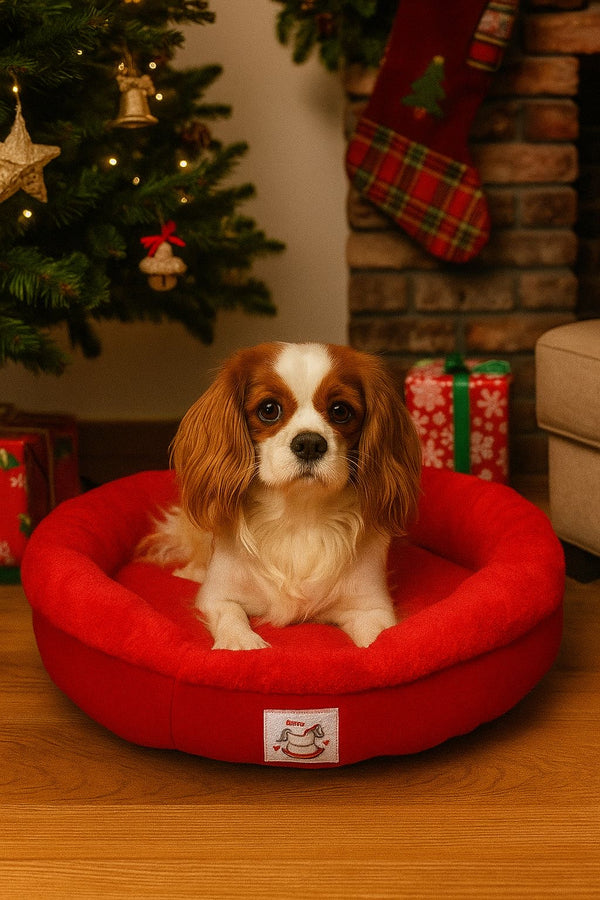 Cuccia Per Cani Natalizia